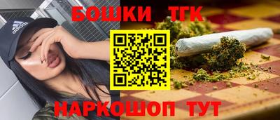 стаф Новодвинск