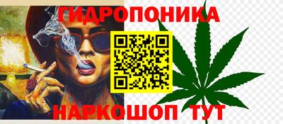 дмт Нальчик